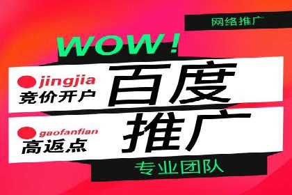 成功案例揭秘：如何进行高效的信息流广告优化