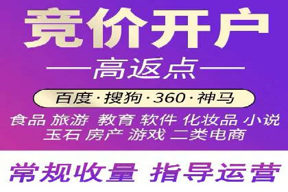 专业SEM托管助力企业快速成长案例分析